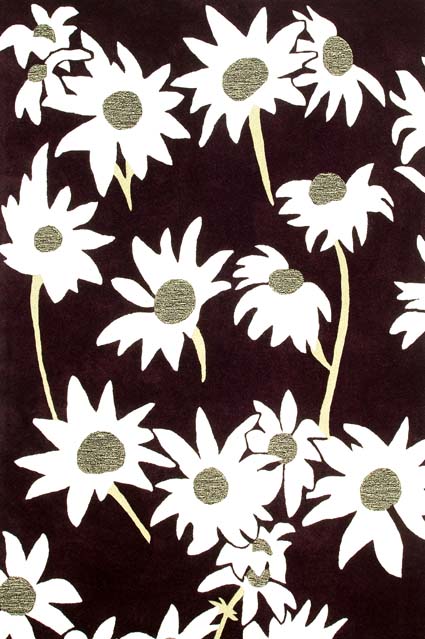 Flannel Flower 016