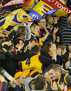 Crows crowd