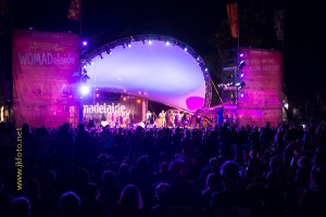 womad crowd-3090