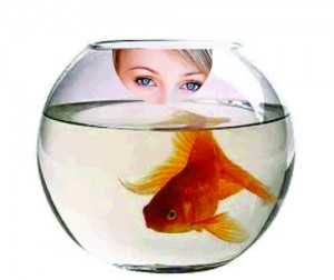 Girl in the Goldfish Bowl