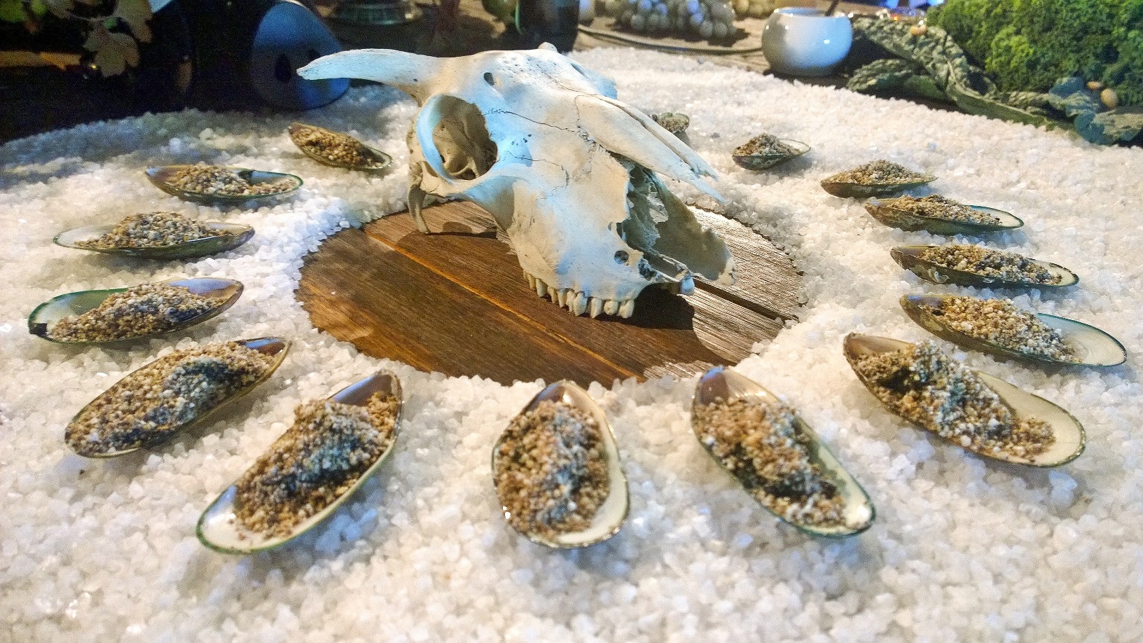 Oysters, Black Seafood and edible Sand