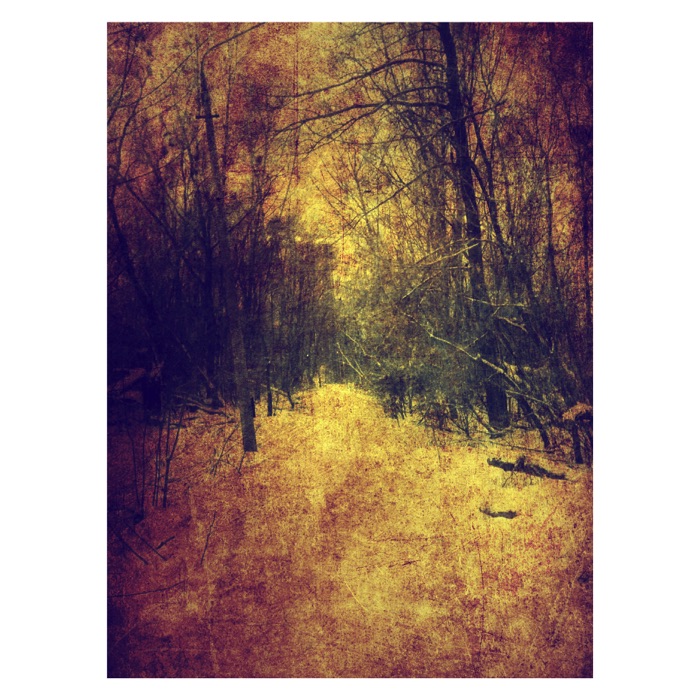 Autumn Hunt Canvas Print - From $319