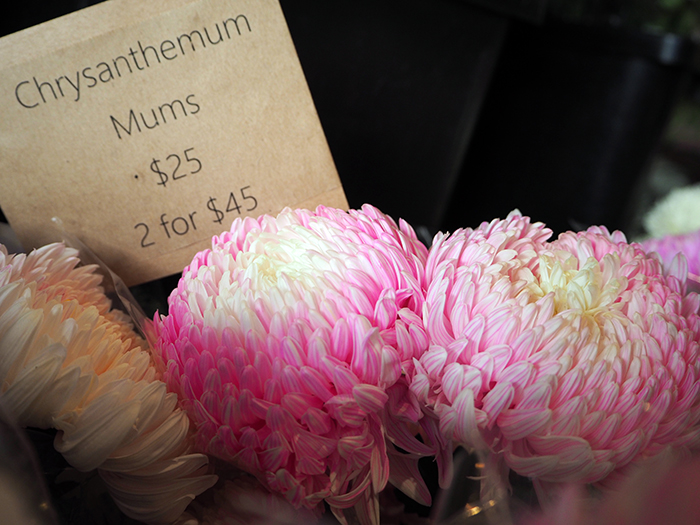 Mother's Day - King William Road
