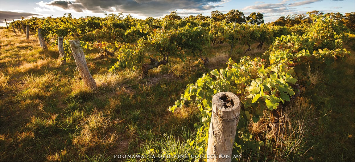 The Poonawatta Old Vine Collection