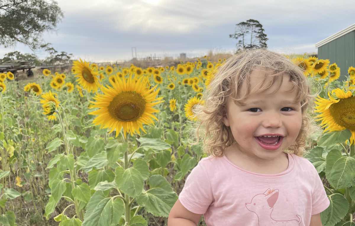 The Flower Field - Vale Pick Your Own