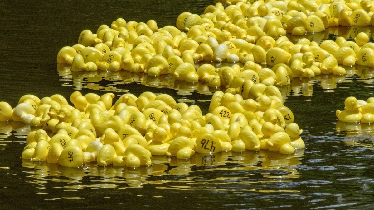 Racing rubber duck cheap