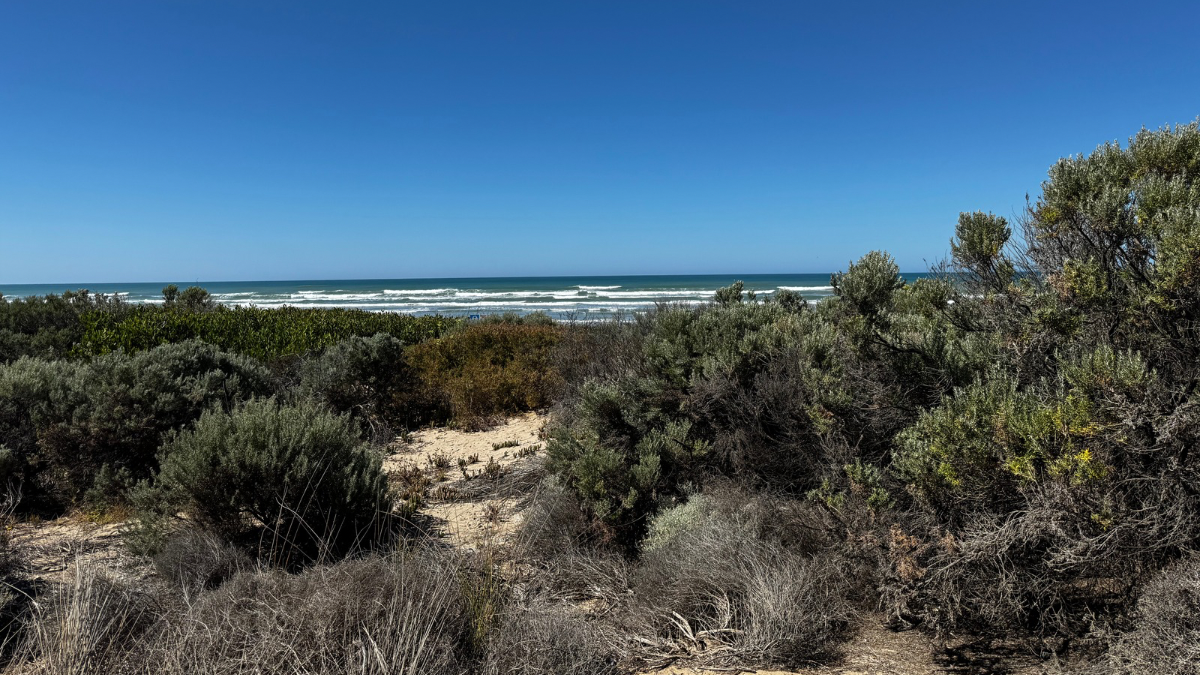 Adelaide weather forecast for Sunday December 7th and the days ahead Adelaide weather forecast for Sunday December 7th and the days ahead