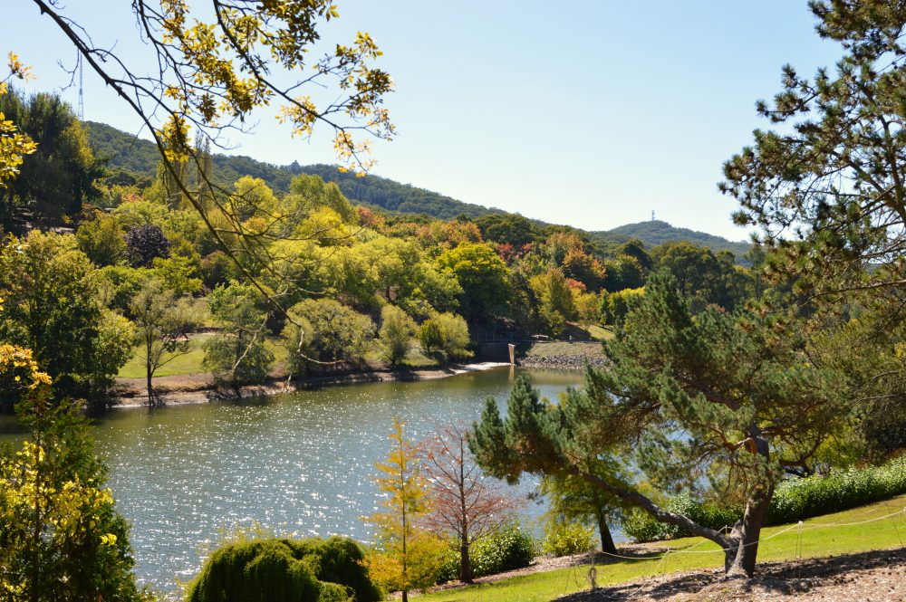 Mount Lofty Botanic Garden