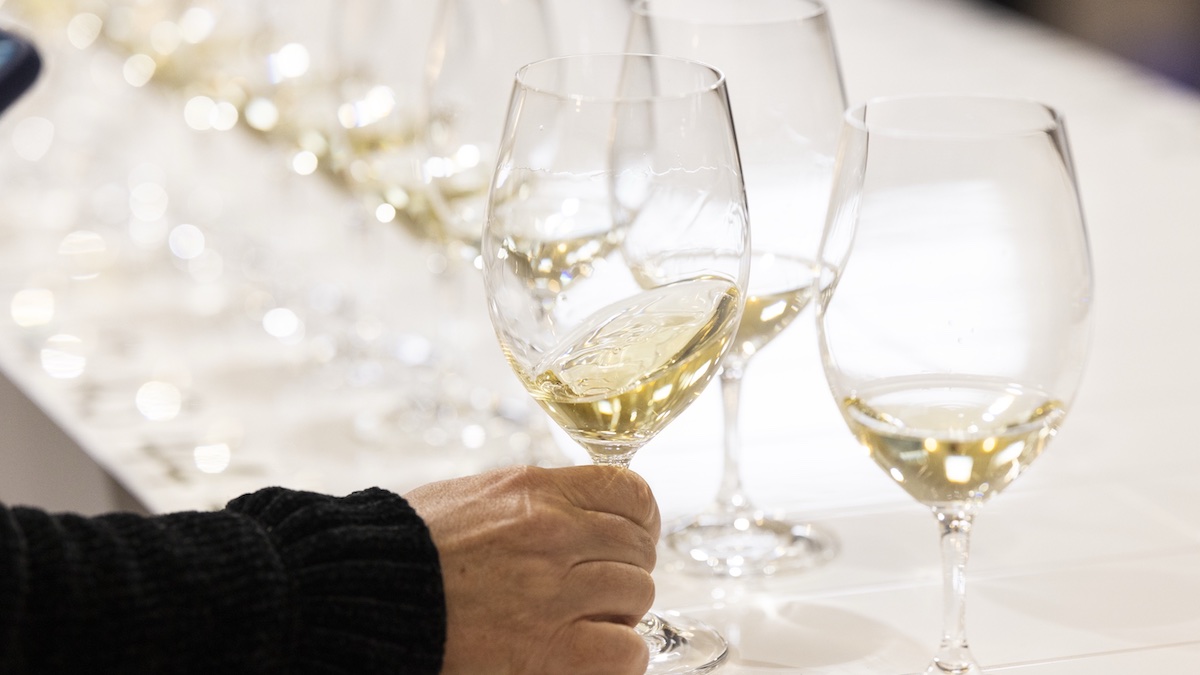 2025 Adelaide Hills Wine Show awards unveiled, with Chardonnay reigning supreme and Gamay making history