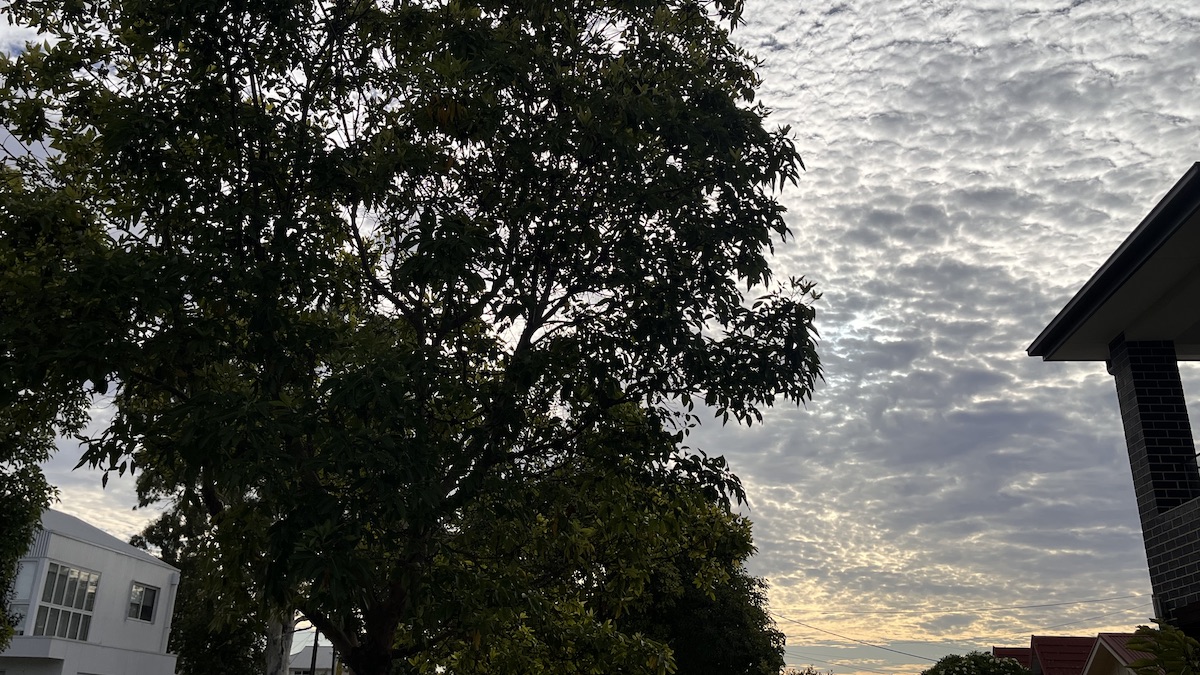 Adelaide weather forecast for Sunday March 29th and the days ahead Adelaide weather forecast for Sunday March 29th and the days ahead