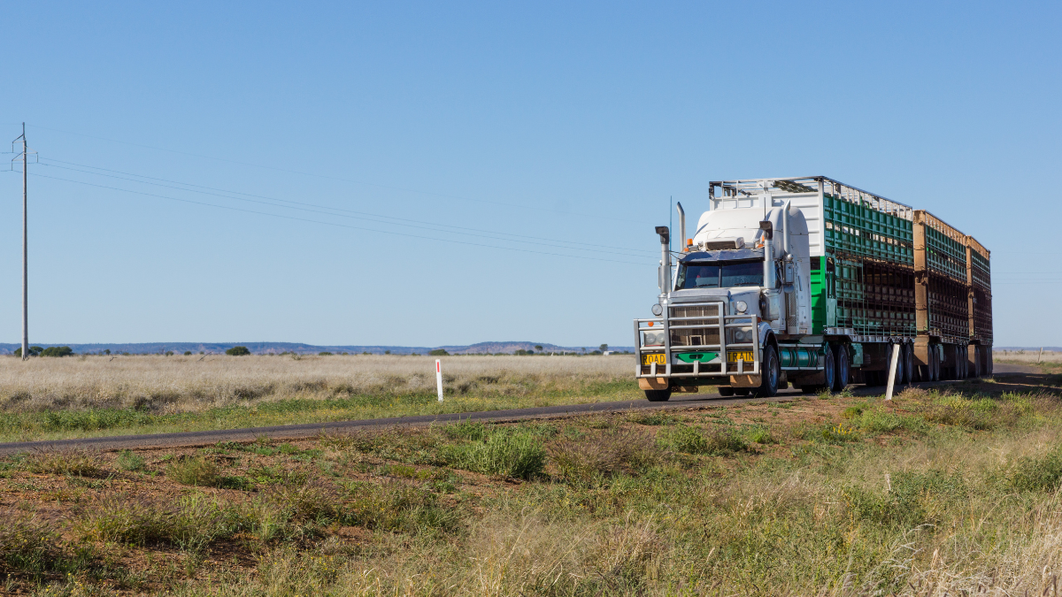 SA opens new truck networks in push to cut fuel costs and move more freight SA opens new truck networks in push to cut fuel costs and move more freight