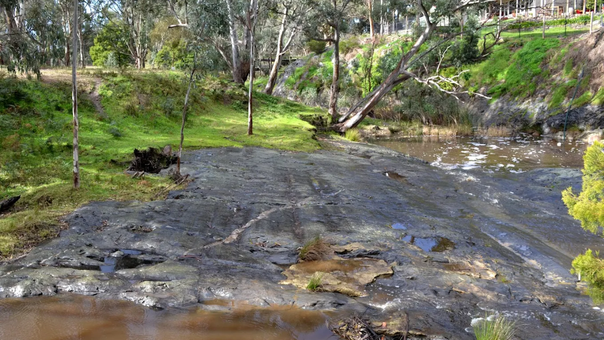 Victor Harbor is home to one of the world’s largest glacial exposures with “The best glacial features in Australia”