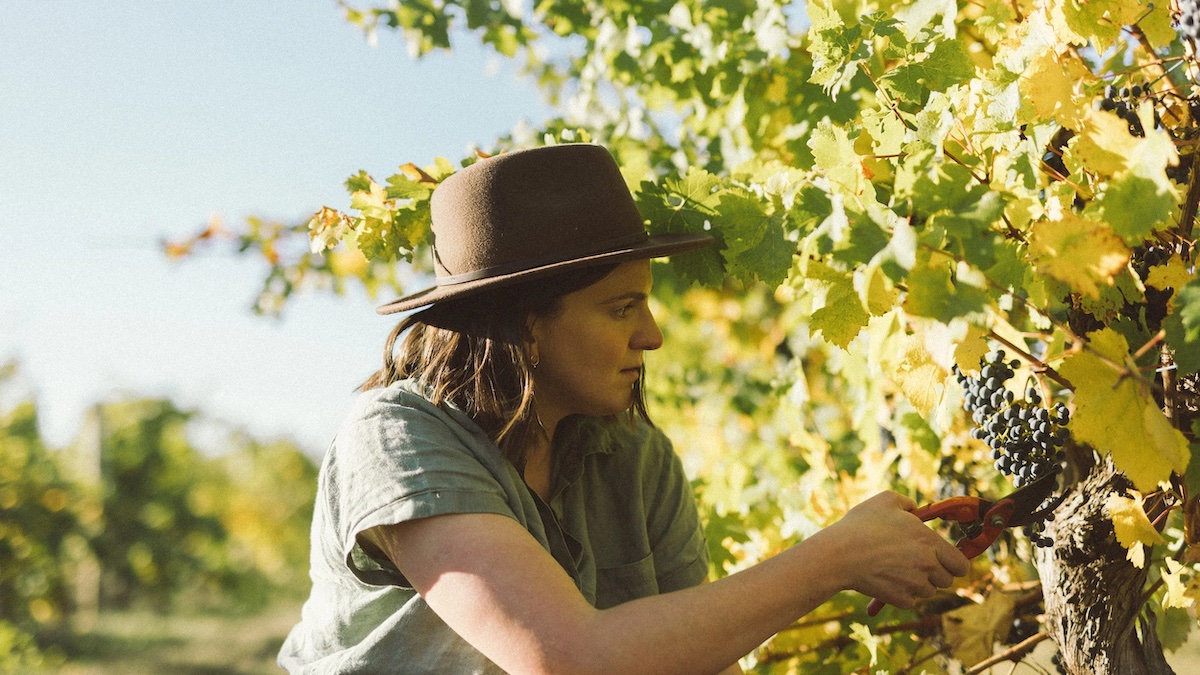 South Australia’s top young winemakers have been named, and they’re redefining the future of Aussie wine South Australia’s top young winemakers have been named, and they’re redefining the future of Aussie wine