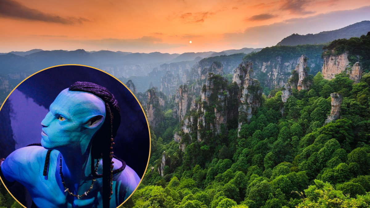 Avatar’s jaw-dropping real-life forest is in a country you can fly direct to from Adelaide Avatar’s jaw-dropping real-life forest is in a country you can fly direct to from Adelaide