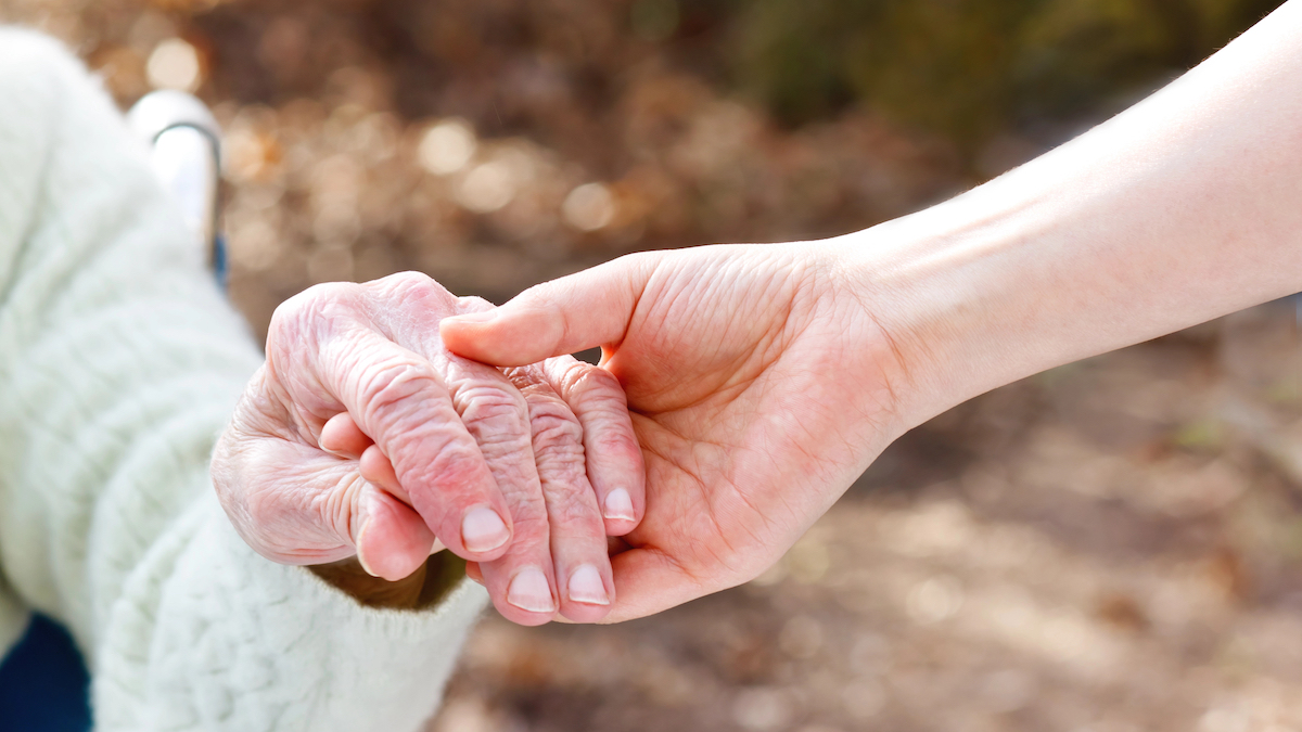 More than 160 new aged care beds planned for North Adelaide in SA first More than 160 new aged care beds planned for North Adelaide in SA first