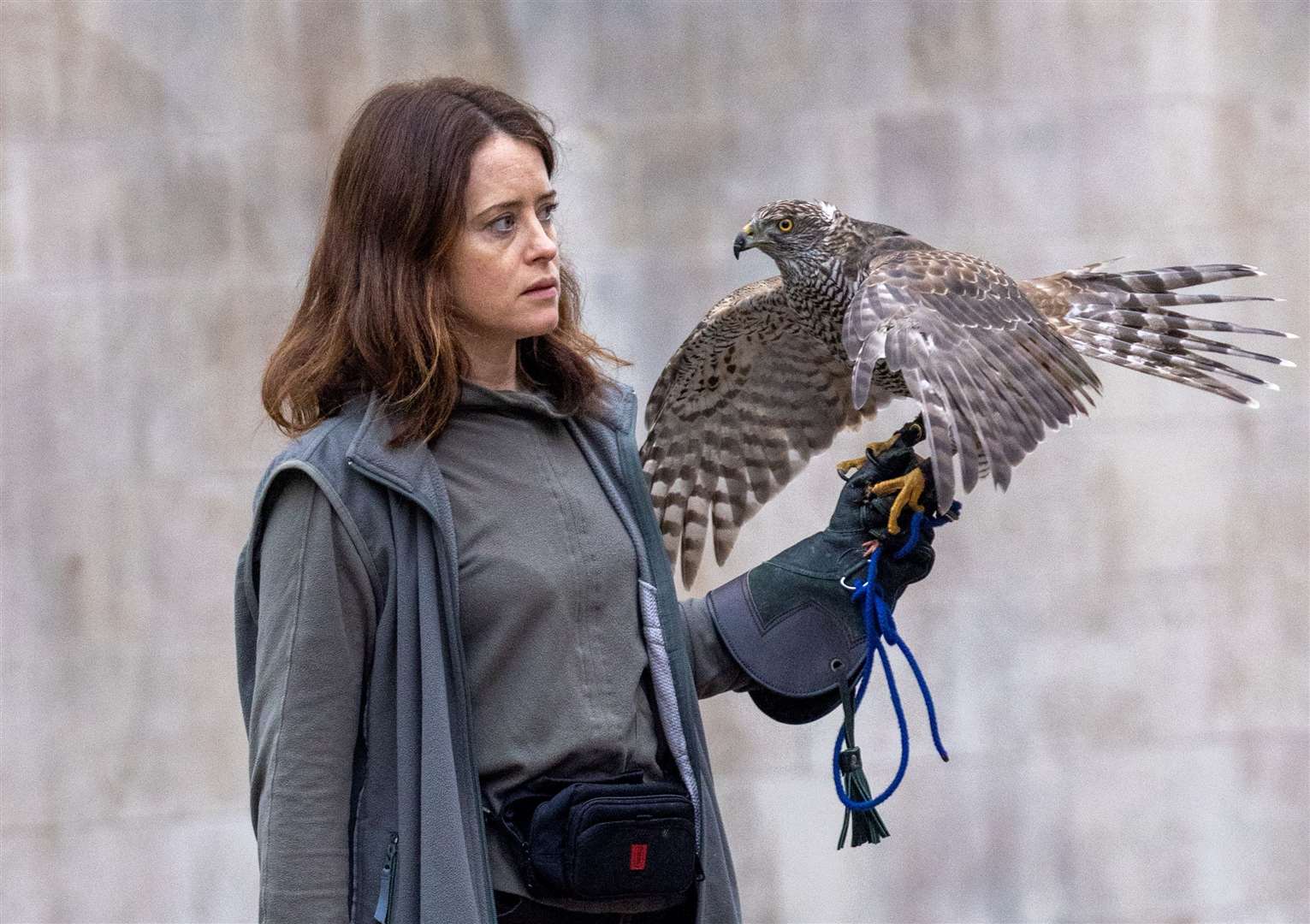 Film Review: H is for Hawk