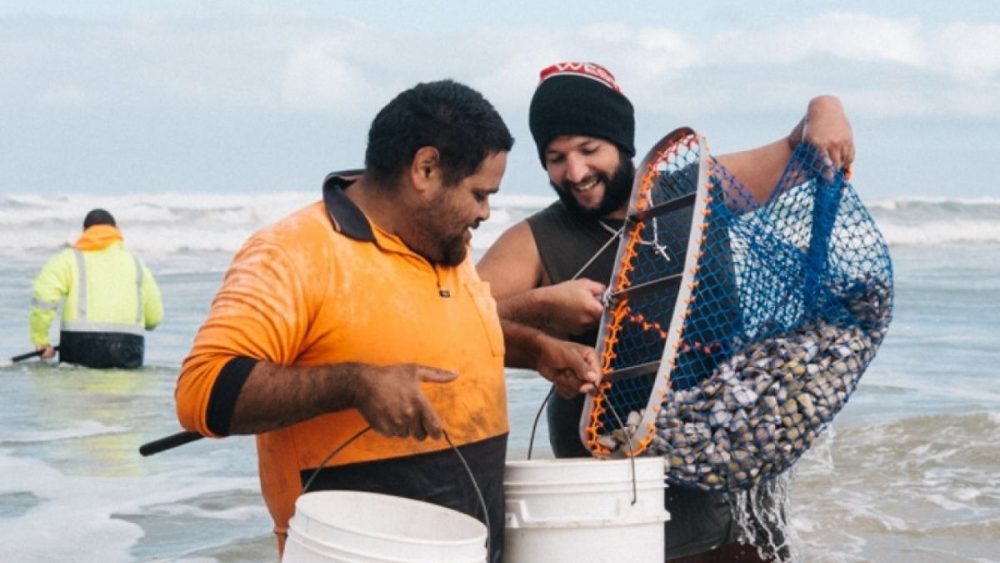 Two men harvesting pipis at the beach