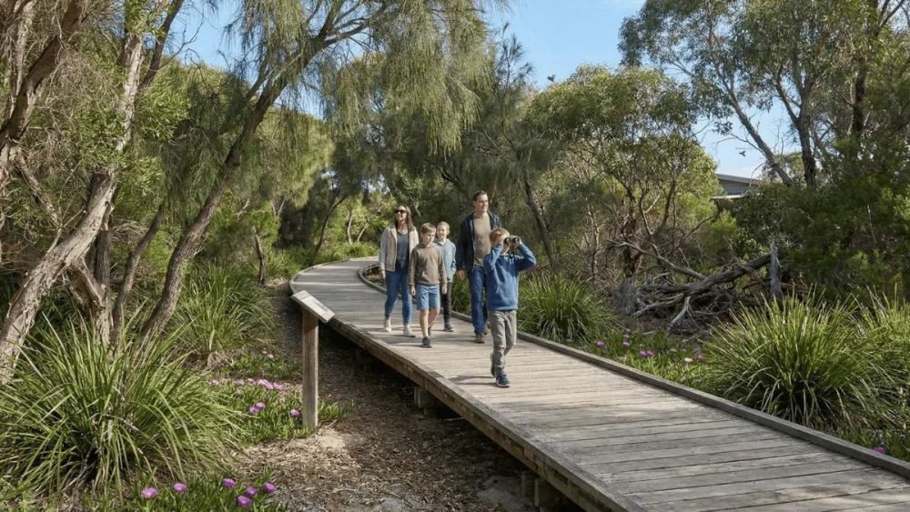 A family walking down a nature trail in a concept drawing