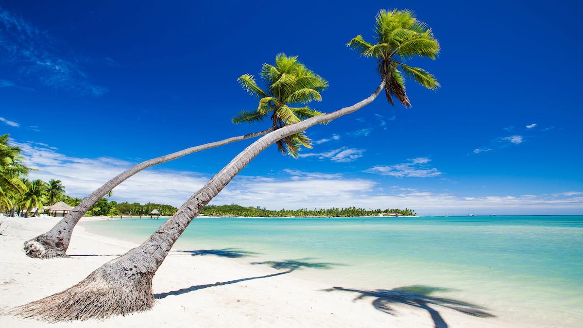 Adelaide Airport launches Friendship Flight Frenzy with exclusive airfare deals and savings of up to 40% Adelaide Airport launches Friendship Flight Frenzy with exclusive airfare deals and savings of up to 40%