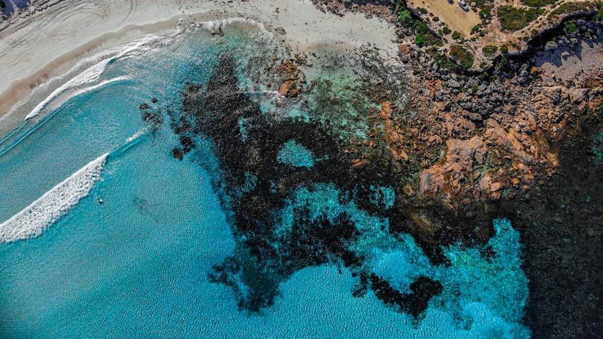 SA landscapes to share .84 million funding boost for climate resilience and biodiversity projects SA landscapes to share .84 million funding boost for climate resilience and biodiversity projects